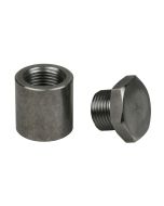 Extended Bung & Plug (1 inch) Titanium by Innovate Motorsports