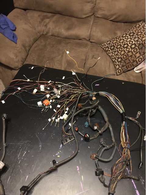  wiring harness
